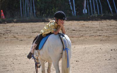 5 Steps to Better Understanding Your Horse – Part 3