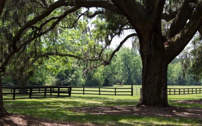 Tapping into Peace of Mind – Part 1