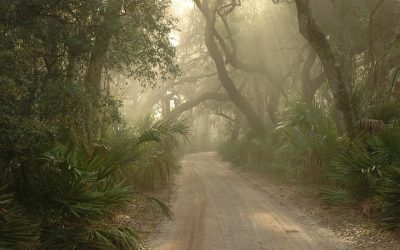 Tapping into Peace of Mind – Part 2