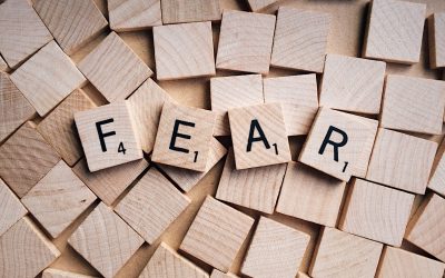 Why Being a Courageous Rider Beats Being a Fearless One