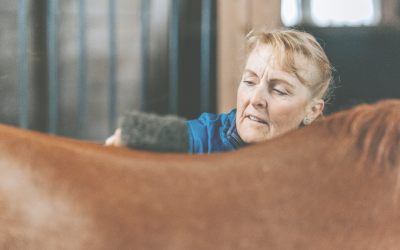 Your horse is better cared for than you are. And that needs to change.