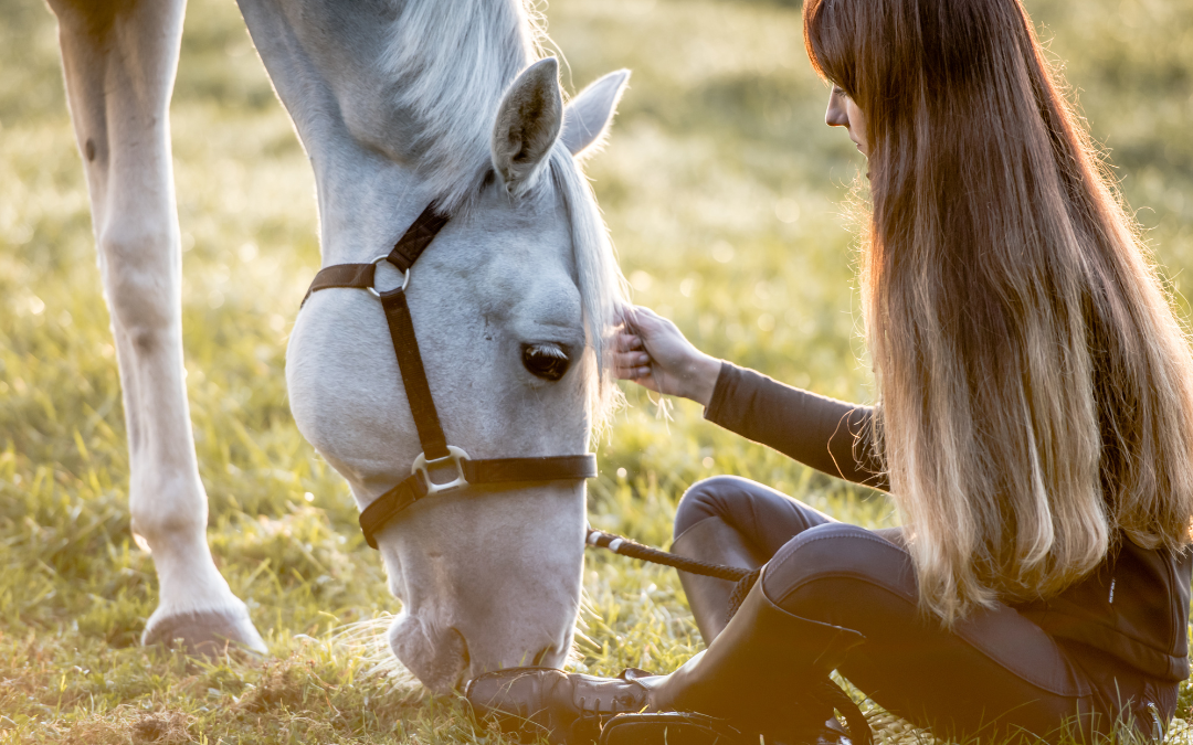 Horse Safety: Know Better – Do Better