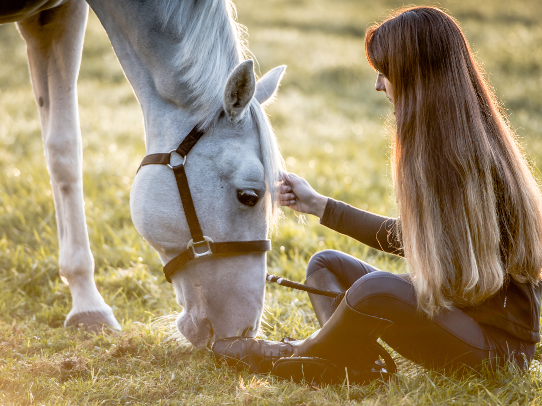 Horse Safety girl sitting by horse