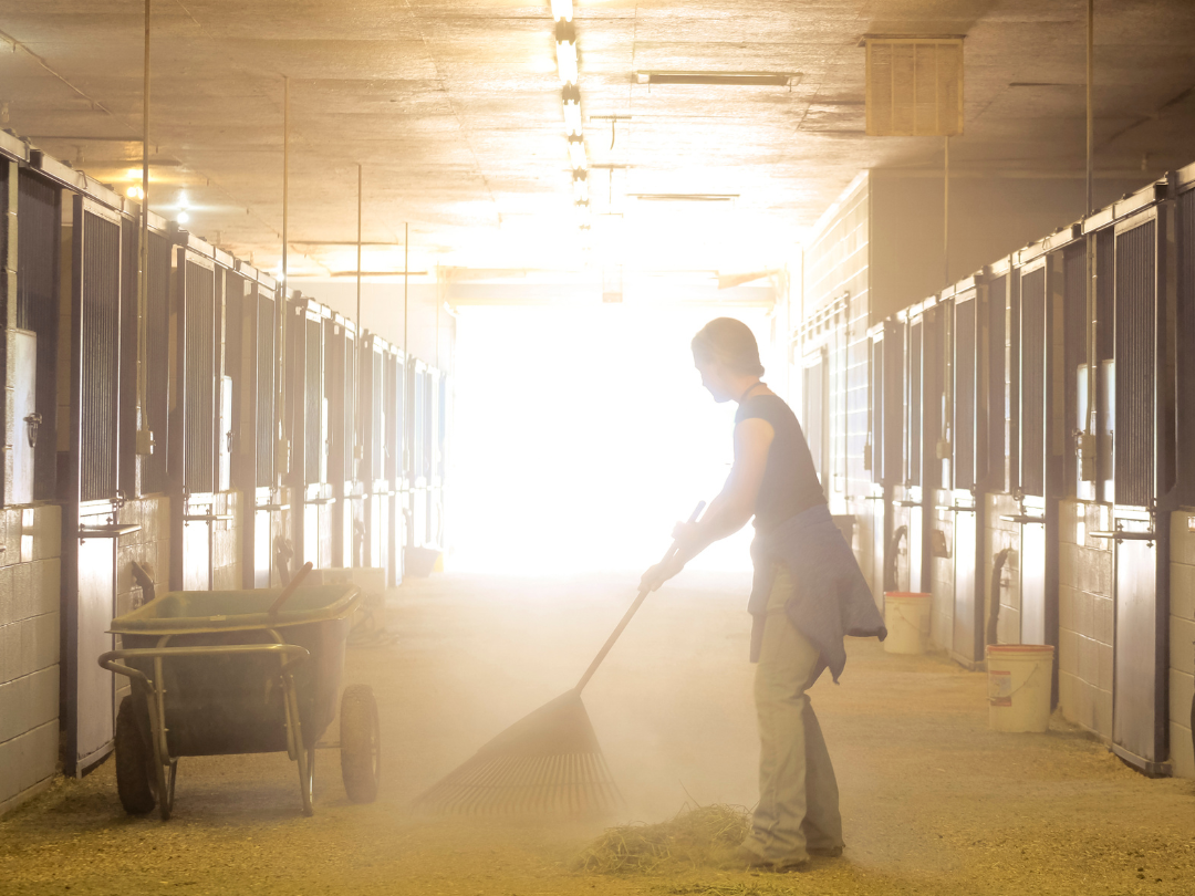 Horsewomen cleaning barn