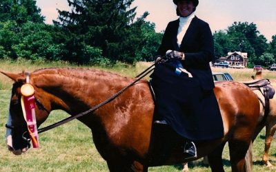 Welcome to the Horsey Life! Sharing Wisdom for Horse Owners